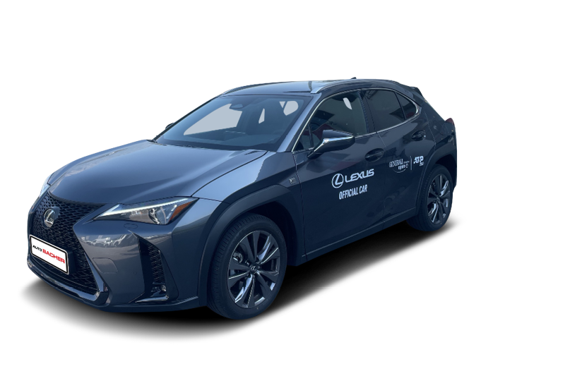 UX 300h F-Sport Design 199 PS