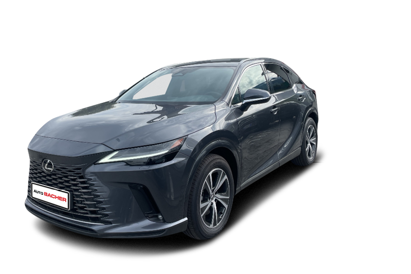 RX 450h+ Business Plug-In Hybrid